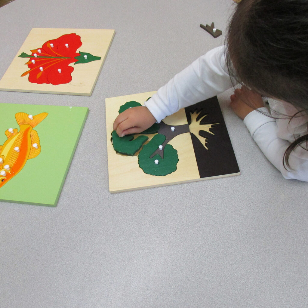 Kindergarten cultural studies square